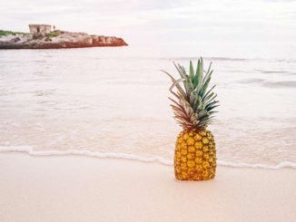 Receta del agua de piña