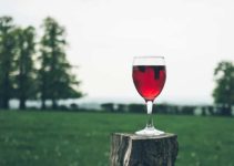 Vinos online: descubre los mejores sabores de frutas en el vino