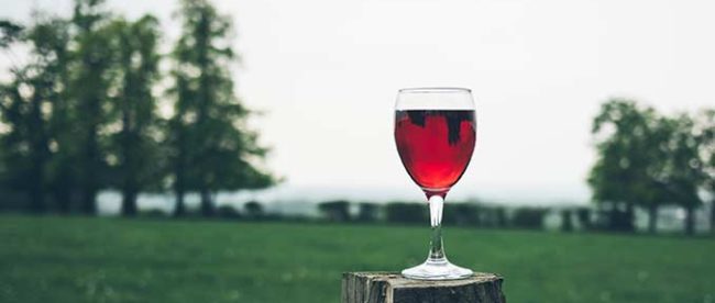 vino-frutas Vinos de frutas