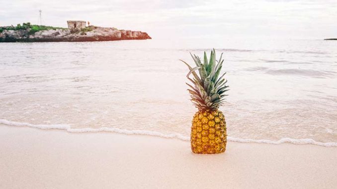 agua-de-pina Receta del agua de piña